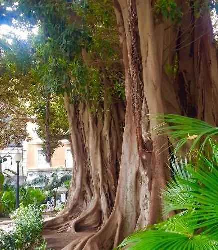 Hills Blue * Alicante